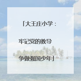 大王庄小学：牢记党的教导 争做强国少年