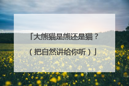 大熊猫是熊还是猫？（把自然讲给你听）