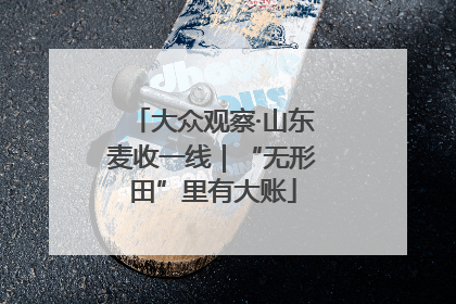 大众观察·山东麦收一线｜“无形田”里有大账