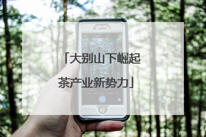 大别山下崛起茶产业新势力