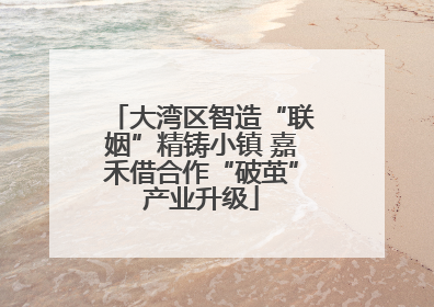 大湾区智造“联姻”精铸小镇 嘉禾借合作“破茧”产业升级