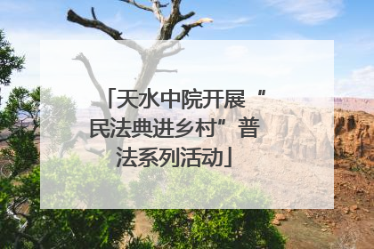 天水中院开展“民法典进乡村”普法系列活动