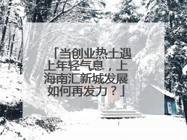 当创业热土遇上年轻气息，上海南汇新城发展如何再发力？