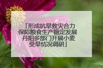 形成抗旱救灾合力 保障粮食生产稳定发展 丹阳多部门开展小麦受旱情况调研