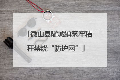 微山县驩城镇筑牢秸秆禁烧“防护网”