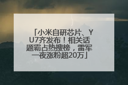 小米自研芯片、YU7齐发布！相关话题霸占热搜榜，雷军一夜涨粉超20万