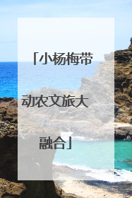 小杨梅带动农文旅大融合