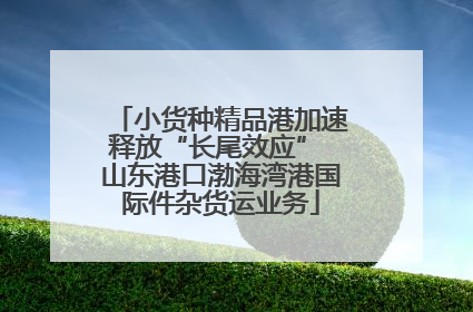 小货种精品港加速释放“长尾效应” 山东港口渤海湾港国际件杂货运业务