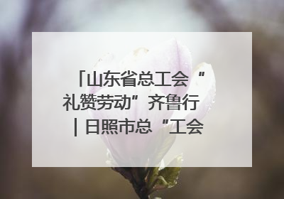 山东省总工会“礼赞劳动”齐鲁行｜日照市总“工会法律在线”解决职工愁“薪”事