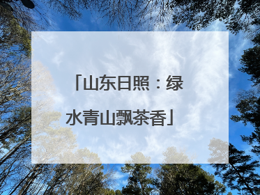 山东日照：绿水青山飘茶香