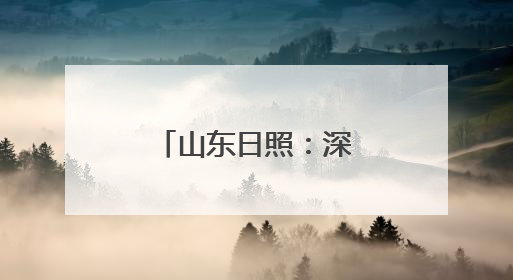 山东日照：深入推进港产城高质量融合发展