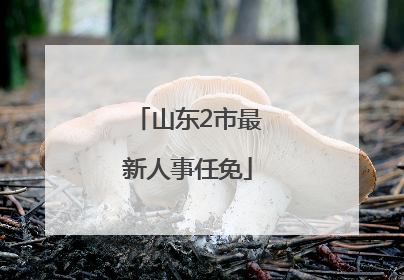 山东2市最新人事任免
