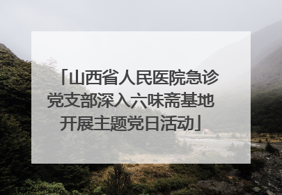 山西省人民医院急诊党支部深入六味斋基地开展主题党日活动