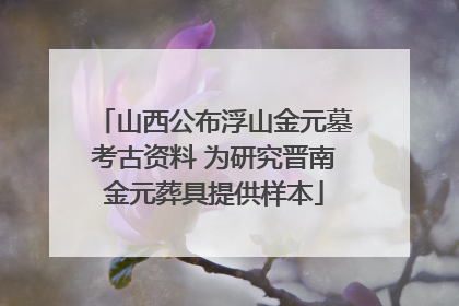 山西公布浮山金元墓考古资料 为研究晋南金元葬具提供样本