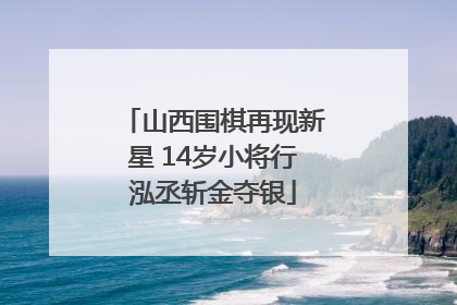 山西围棋再现新星 14岁小将行泓丞斩金夺银