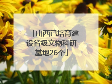 山西已培育建设省级文物科研基地26个