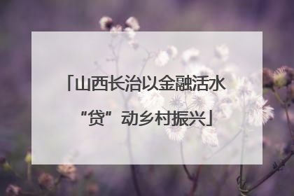 山西长治以金融活水“贷”动乡村振兴
