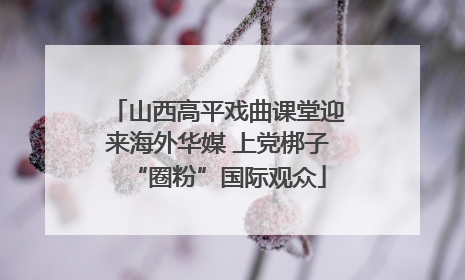 山西高平戏曲课堂迎来海外华媒 上党梆子“圈粉”国际观众