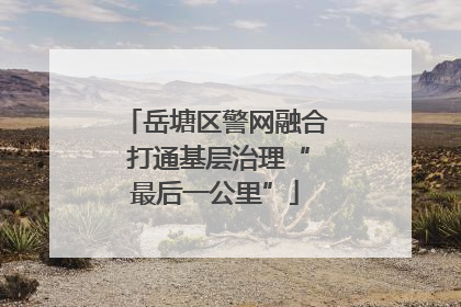 岳塘区警网融合 打通基层治理“最后一公里”