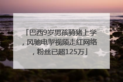 巴西9岁男孩骑猪上学，风驰电掣视频走红网络，粉丝已超125万