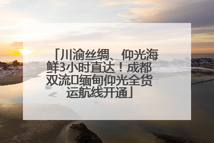 川渝丝绸、仰光海鲜3小时直达！成都双流⇌缅甸仰光全货运航线开通