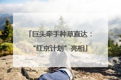 巨头牵手种草直达：“红京计划”亮相