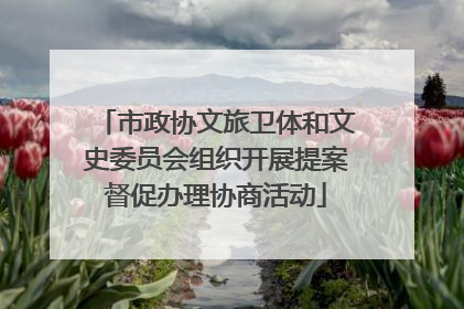 市政协文旅卫体和文史委员会组织开展提案督促办理协商活动