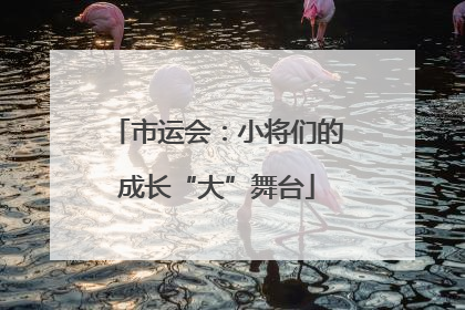 市运会：小将们的成长“大”舞台