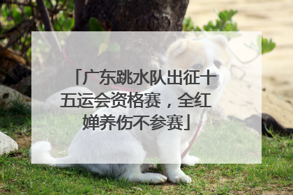 广东跳水队出征十五运会资格赛，全红婵养伤不参赛