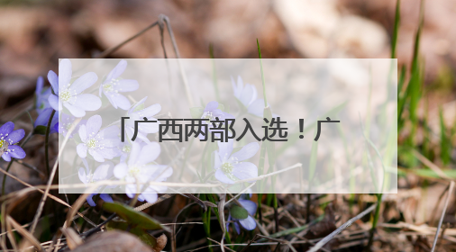 广西两部入选！广电总局优秀网络视听作品最新公布