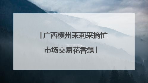 广西横州茉莉采摘忙 市场交易花香飘