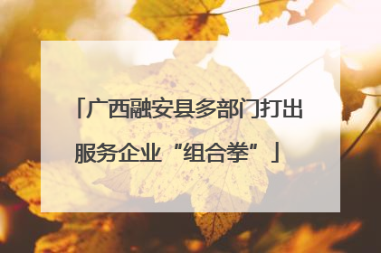 广西融安县多部门打出服务企业“组合拳”