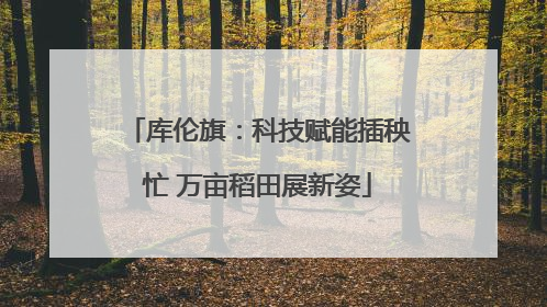 库伦旗：科技赋能插秧忙 万亩稻田展新姿