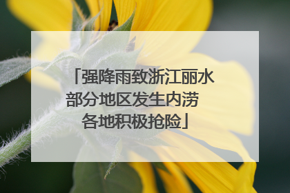 强降雨致浙江丽水部分地区发生内涝 各地积极抢险