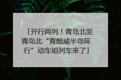 开行两列！青岛北至青岛北“青烟威半岛环行”动车组列车来了