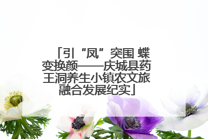 引“凤”突围 蝶变换颜——庆城县药王洞养生小镇农文旅融合发展纪实