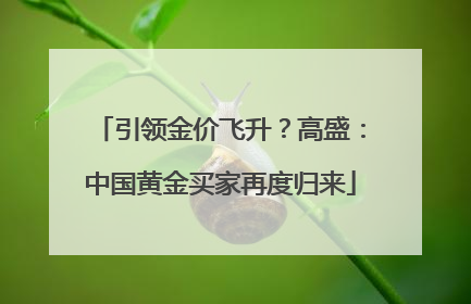 引领金价飞升？高盛：中国黄金买家再度归来