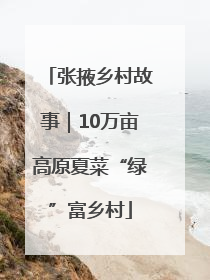 张掖乡村故事｜10万亩高原夏菜“绿”富乡村