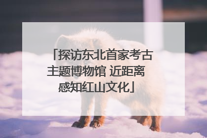 探访东北首家考古主题博物馆 近距离感知红山文化