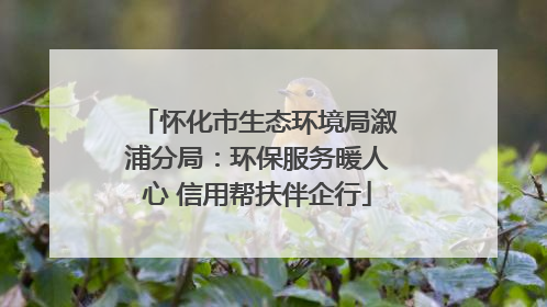 怀化市生态环境局溆浦分局：环保服务暖人心 信用帮扶伴企行