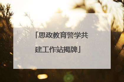思政教育警学共建工作站揭牌