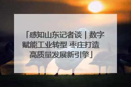 感知山东记者谈｜数字赋能工业转型 枣庄打造高质量发展新引擎