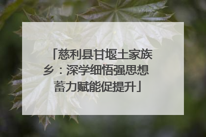 慈利县甘堰土家族乡：深学细悟强思想 蓄力赋能促提升