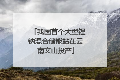 我国首个大型锂钠混合储能站在云南文山投产