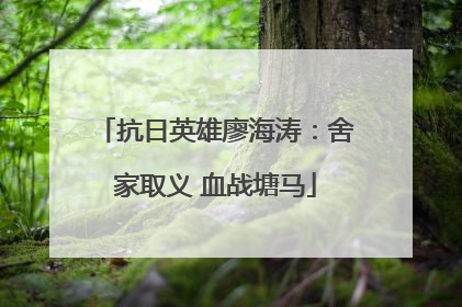 抗日英雄廖海涛：舍家取义 血战塘马