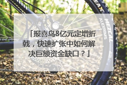 报喜鸟8亿元定增折戟，快速扩张中如何解决巨额资金缺口？