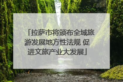 拉萨市将颁布全域旅游发展地方性法规 促进文旅产业大发展