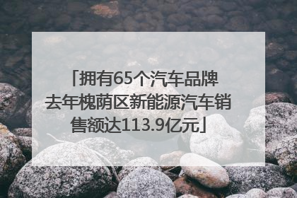 拥有65个汽车品牌 去年槐荫区新能源汽车销售额达113.9亿元