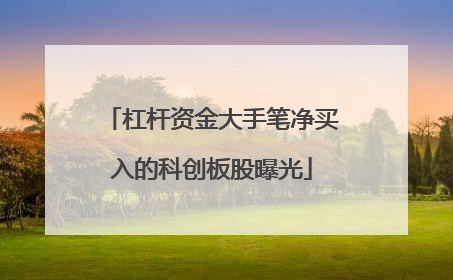 杠杆资金大手笔净买入的科创板股曝光