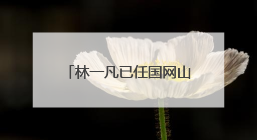林一凡已任国网山东电力公司董事长
